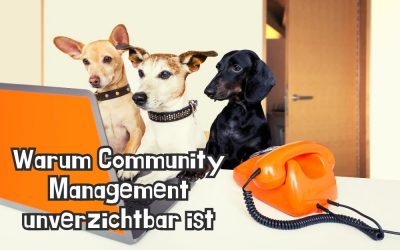 5 Gründe, warum Community Management in Social Media unverzichtbar ist