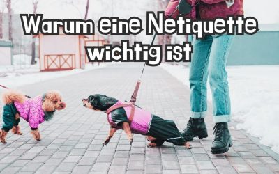 Meta lockert Richtlinien: Warum Unternehmen jetzt eine eigene Netiquette brauchen