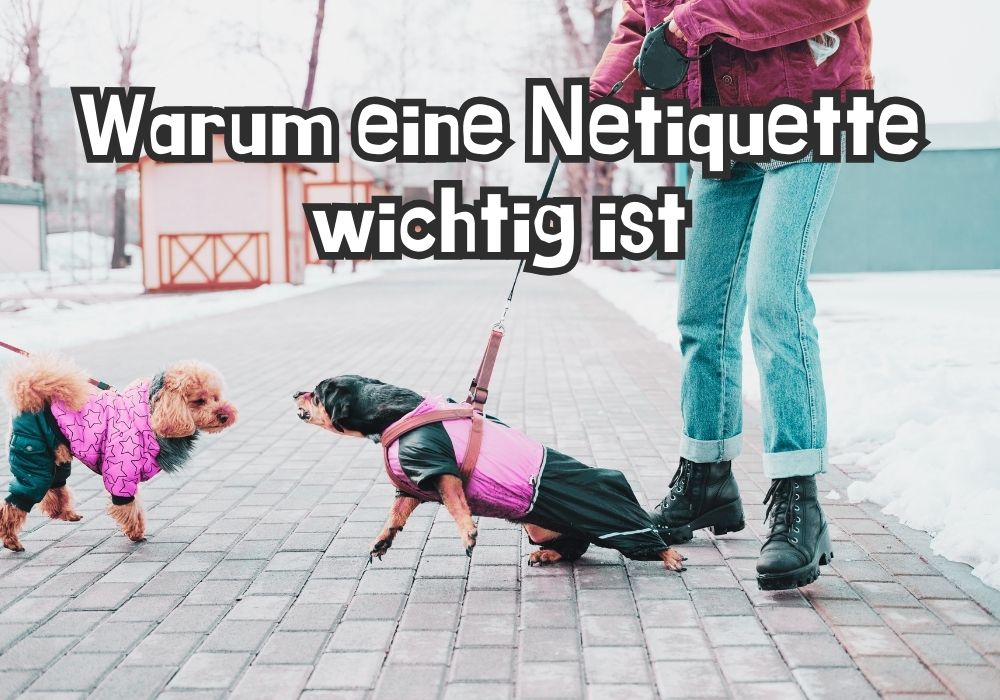 Zwei Hunde an der Leine, die in einer winterlichen Umgebung interagieren – symbolisiert die Wichtigkeit von Netiquette für ein respektvolles und harmonisches Miteinander, sowohl online als auch offline.