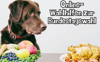 Wahl-O-Mat & Co. – Alle Online-Wahlhilfen zur Bundestagswahl 2025