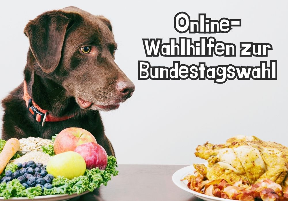 Ein Hund schaut auf zwei verschiedene Teller mit Lebensmitteln. Auf dem linken Teller sind gesunde Lebensmittel wie Obst und Gemüse zu sehen, während der rechte Teller gebratenes Hähnchen und Speck enthält. Darüber steht der Text 'Online-Wahlhilfen zur Bundestagswahl'