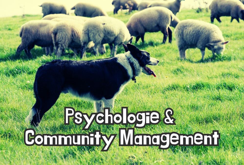 Zwischen den Zeilen lesen: Psychologische Feinheiten im Community Management