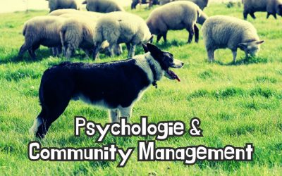 Zwischen den Zeilen lesen: Psychologische Feinheiten im Community Management