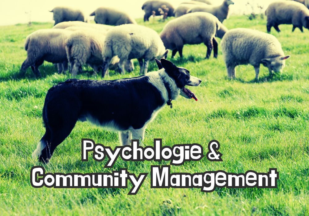 Ein Hund steht auf einer grünen Wiese und beobachtet eine Gruppe von Schafen. Der Text im Bild lautet: 'Psychologie & Community Management', was die Bedeutung der psychologischen Aspekte im Umgang mit Communitys und Online-Interaktionen betont.